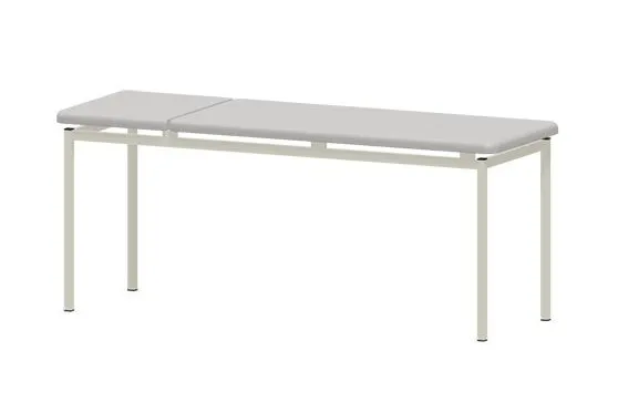 Varimed Untersuchungsliege 650 x 1950 x 50 mm, Gestell grauwei RAL 9002 mit Papierrollenhalter  Silbergrau 55 Classic 