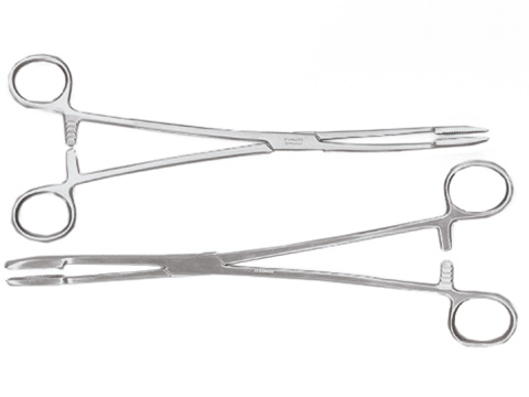 Kornzange nach Gross-Maier, gerade, mit Sperre, 22,0 cm