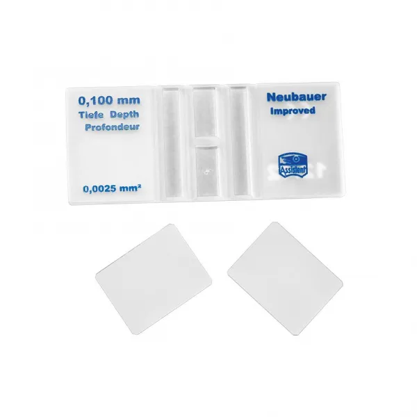 Zählkammer nach Neubauer improved mit doppelter Netzteilung