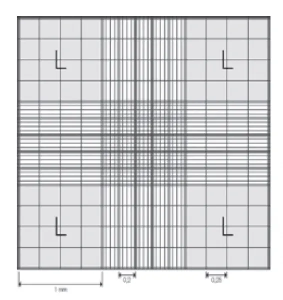 Zählkammer nach Neubauer improved mit doppelter Netzteilung