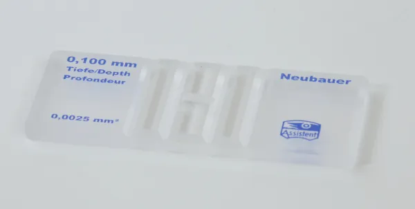 Zählkammer nach Neubauer mit doppelter Netzteilung