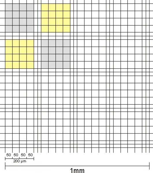 Zählkammer nach Neubauer mit doppelter Netzteilung