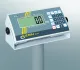 Plattform-Rollstuhlwaage Kern MWS300K100M, Wiegefläche 900 x 740 mm geeicht KAT III