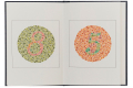 Farbsehtest, Farbtafeln nach Ishihara mit 14 oder 24 Tafeln, zur Prfung von  angeborenen Rot-Grn-Sehstrungen