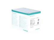 B.Braun Sterican Einmalkanülen Standard-Größe Nr.17, 0,55 x 25 mm G24 lila (100 Stück)