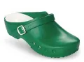 Schrr OP-Schuhe, CHIROCLOGS Classic, grn, Wechseleinlage, mit Fersenriemen, fr Damen und Herren Gr. 38