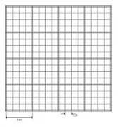 Zählkammer nach Fuchs-Rosenthal, mit doppelter Netzteilung